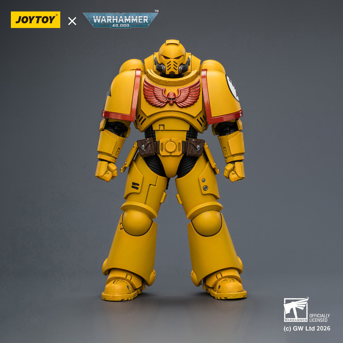 JOYTOY Warhammer 40,000 - Intercessor with Bolt Rifle, Bolt Pistol and Chainsword