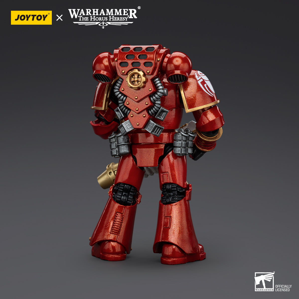 Back view of the Thousand Sons Legionary, showcasing the intricate detailing of his armor, power pack, and bolter arrangement, ready to engage the enemy.