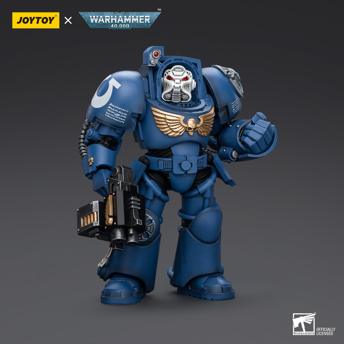 Ultramarines Terminator with Storm Bolter, front view. Powerful Terminator armor with detailed shoulder pads, storm bolter, and chapter insignia clearly visible.