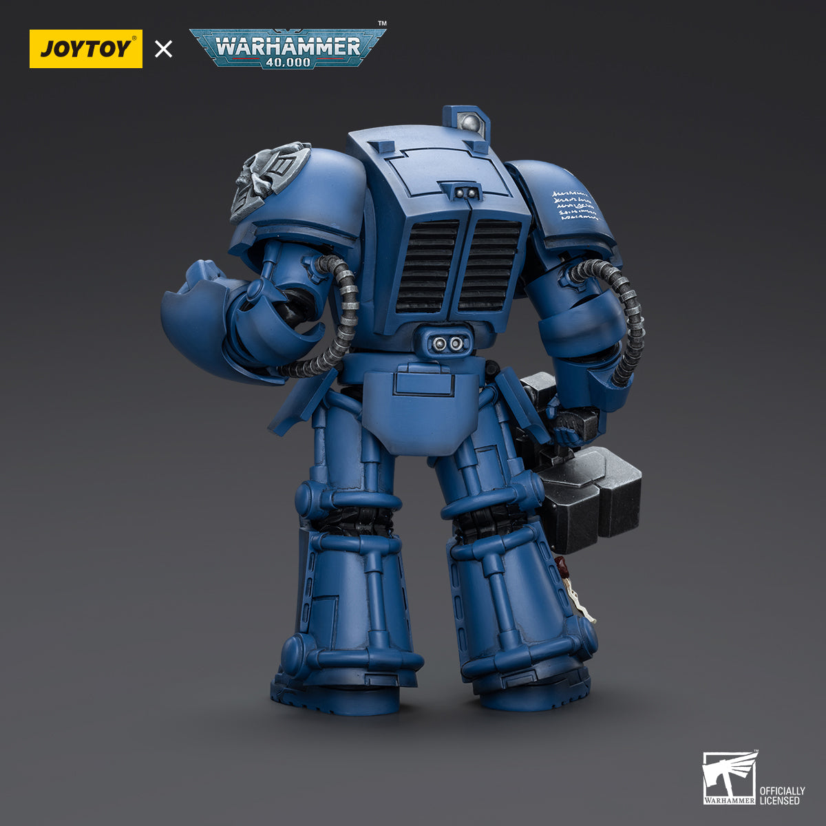 Back view of Ultramarines Terminator with Storm Bolter, showcasing the power pack, rear armor details, and the storm bolter placement.